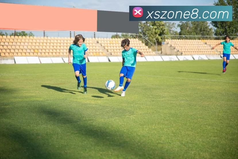 新盛娱乐官网平台生态图